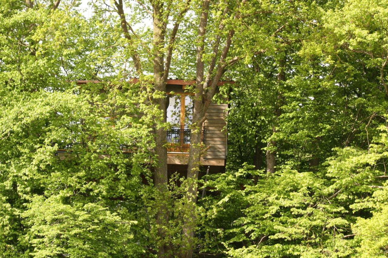 Baumhaus Auf Dem Kellerberg Villa Fischach ภายนอก รูปภาพ